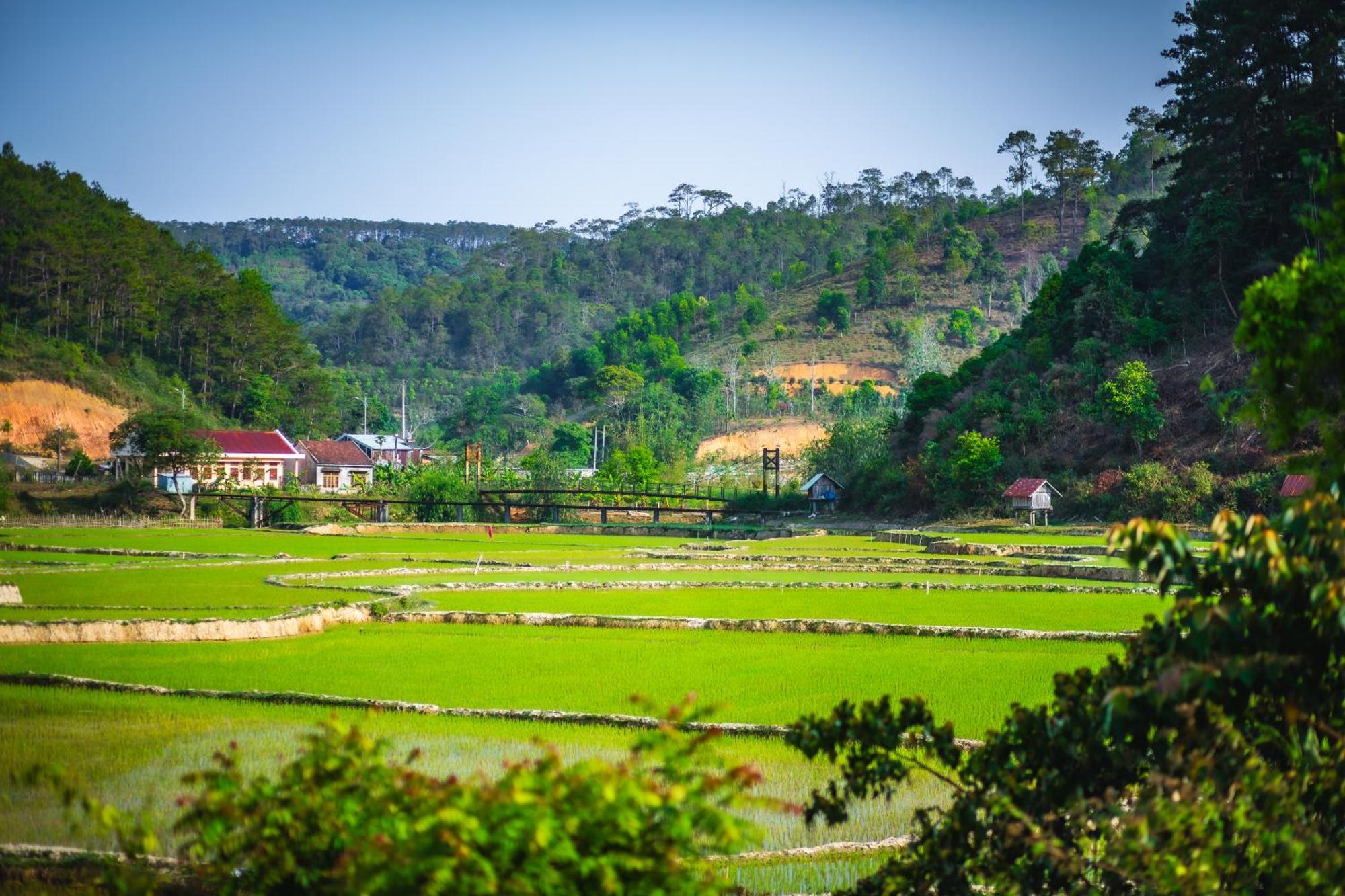 Nha Trong Ban - Homestay Mang Den Kon Von Kla Екстериор снимка